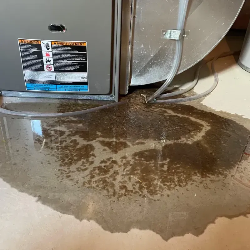 Appliance Leak Cleanup in Blue Ridge, AL